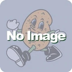 デュエル・マスターズ