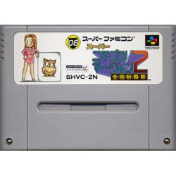 スーパーニチブツマージャン2 全国制覇篇